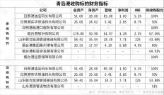 青岛港近百亿重组大变脸背后的激烈博弈